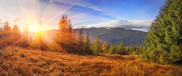 Almherbst im Schnee — Stockfoto