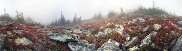 Nebliger Herbst in den Bergen — Stockfoto