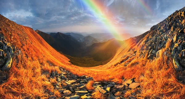 Highland vegetation i Karpaterna — Stockfoto