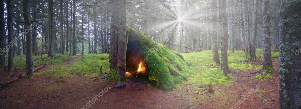 Охотник за хижинами в древнем лесу Стоковое Фото