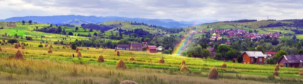 Haystacks in summer in Carpathians — Stock Photo, Image