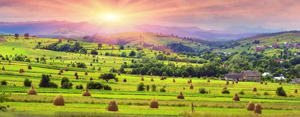 Haystacks in summer in Carpathians — Stock Photo, Image