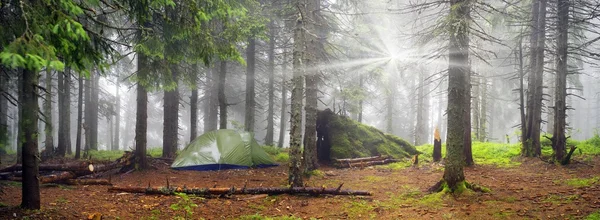 Tenda capanna nella foresta di abete rosso — Foto Stock