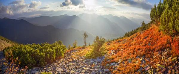 Alpine autumn in Gorgany — Stock Photo, Image