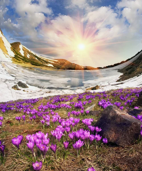 Lago di montagna Nesamovyte — Foto Stock