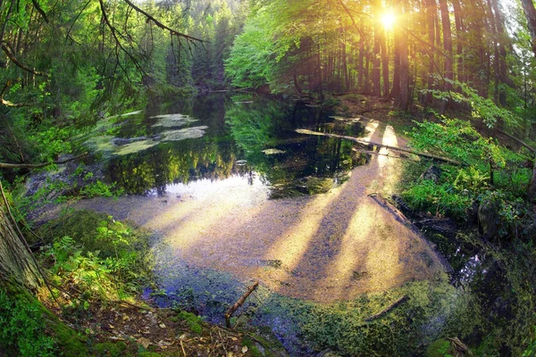 Danau Asya Marmarosh — Stok Foto