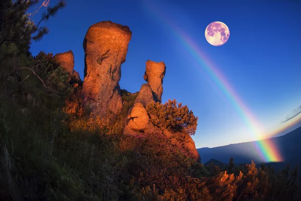 Rocks in wild mountains — Stock Photo, Image