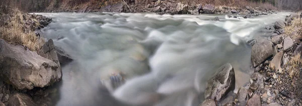 Dağ nehir siyah Çeremoş — Stok fotoğraf