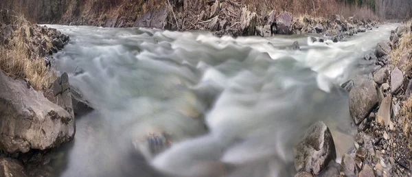 Hegyi folyó fekete Cheremosh — Stock Fotó