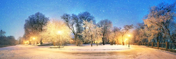 Mariinsky Gardenben zord időjárás — Stock Fotó