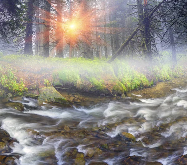 Río al amanecer en las montañas Cárpatos — Foto de Stock