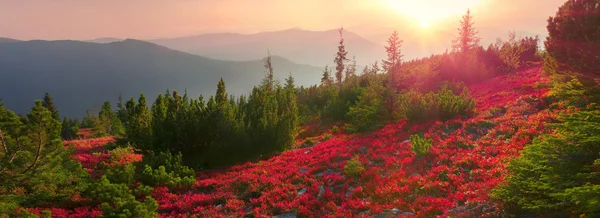 Autumn in Carpathian mountains — Stock Photo, Image