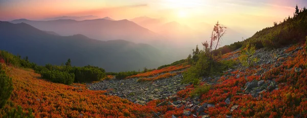 喀尔巴阡山脉秋天 — 图库照片