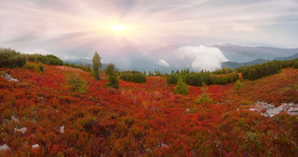 Outono nas montanhas dos Cárpatos — Fotografia de Stock