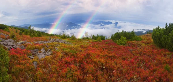 Autumn in Carpathian mountains — Stock Photo, Image