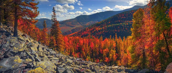 Bosque de montaña en otoño — Foto de Stock