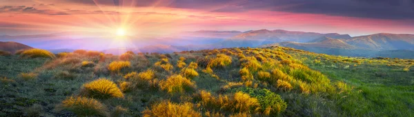 ウクライナのカルパチア山地を草します。 — ストック写真