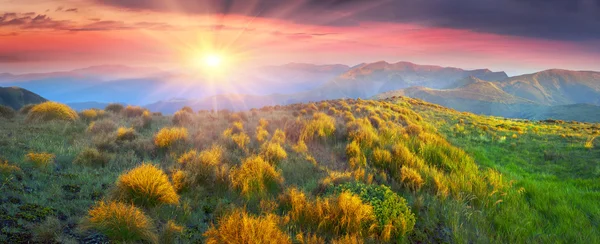 ウクライナのカルパチア山地を草します。 — ストック写真