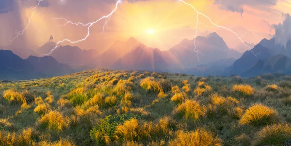 Grass in Oekraïens Karpaten — Stockfoto