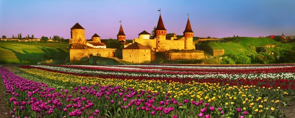 Antica fortezza in kamianets-podilskyi — Foto Stock