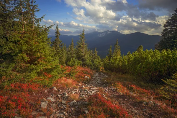 Almherbst im Schnee — Stockfoto