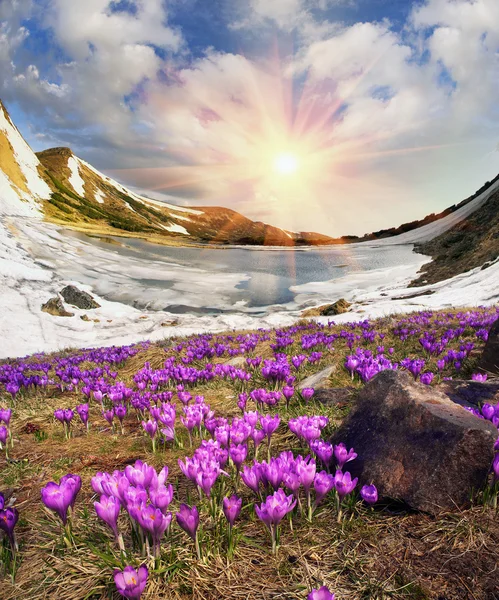 Niesamowite górskie jezioro — Zdjęcie stockowe