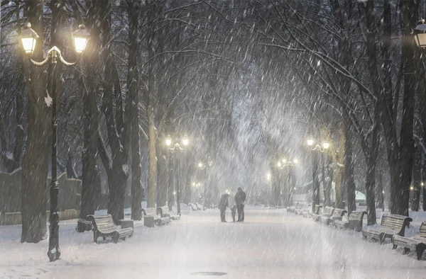 Sneeuwval in Mariinsky Park — Stockfoto