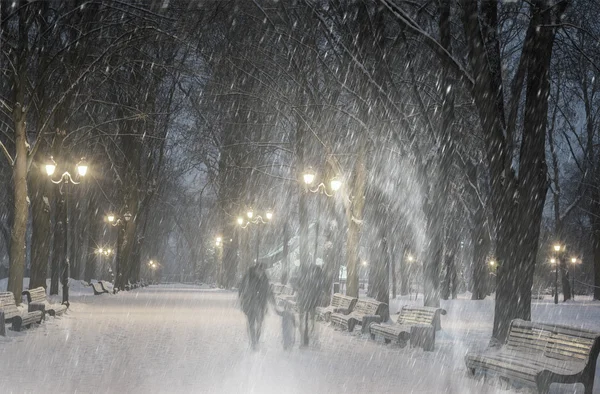 Śniegu w Maryjskiego Park — Zdjęcie stockowe