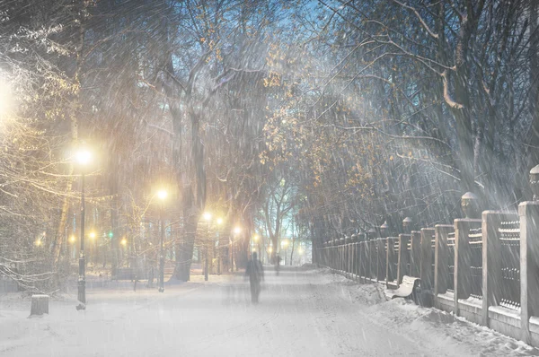 Χιονοπτώσεις στο πάρκο Mariinsky — Φωτογραφία Αρχείου