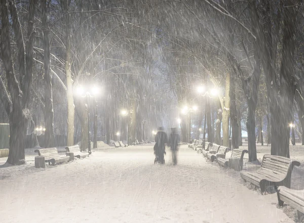 降雪在马林斯基公园 — 图库照片