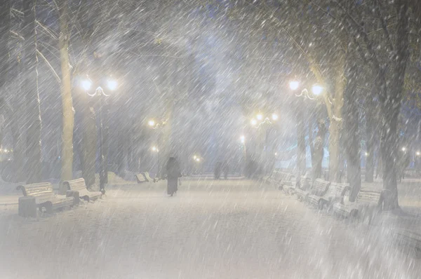 Tormenta en Mariinsky Park — Foto de Stock