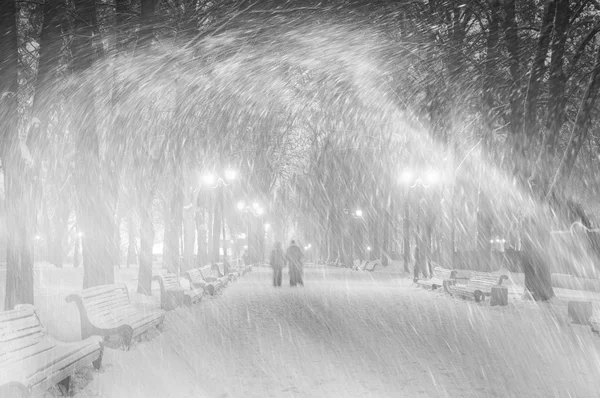 Vihar a Mariinsky Park — Stock Fotó