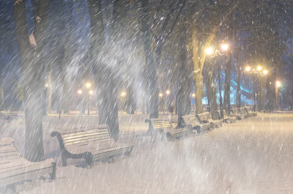 Burza w Maryjskiego Park — Zdjęcie stockowe