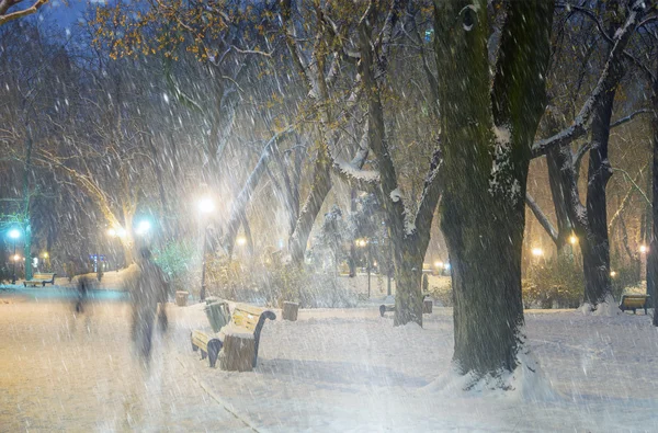 Burza w Maryjskiego Park — Zdjęcie stockowe