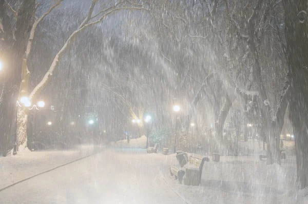 Tormenta en Mariinsky Park — Foto de Stock