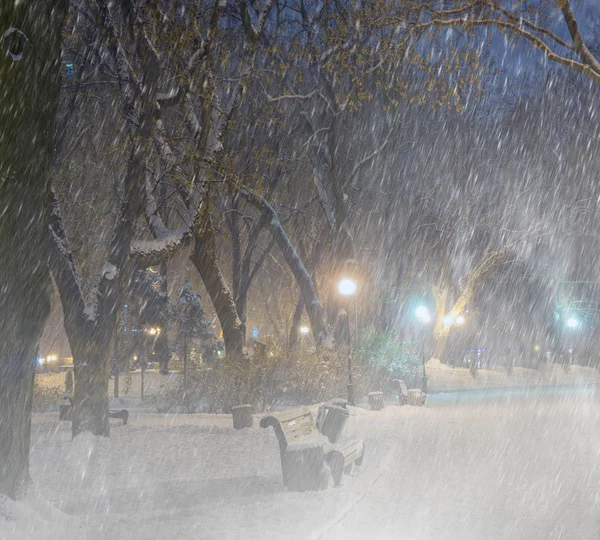 Tempestade no Parque Mariinsky — Fotografia de Stock