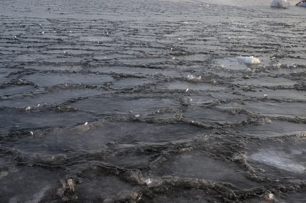 ドニエプル川を氷します。 — ストック写真
