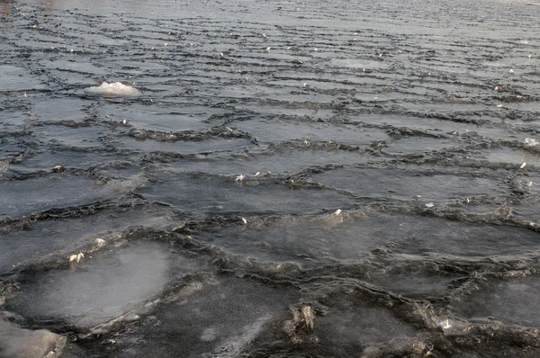 ドニエプル川を氷します。 — ストック写真