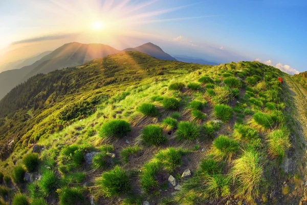 Aglomerados de grama nas montanhas ao pôr do sol — Fotografia de Stock