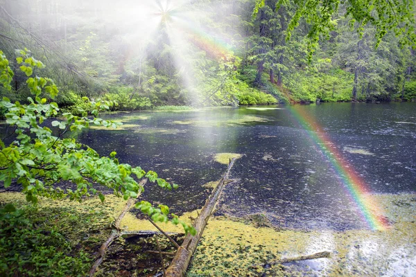 Lago Asya Marmarosh — Fotografia de Stock