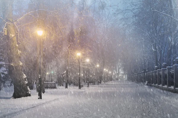 Mariinsky tuin tijdens slecht weer — Stockfoto