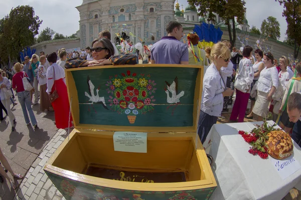 День незалежності в Києві — стокове фото