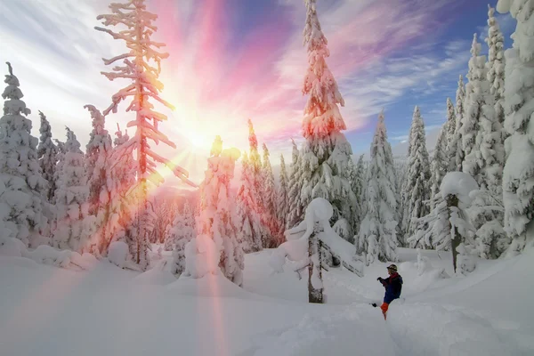 Man i vinter skog på sunrise — Stockfoto