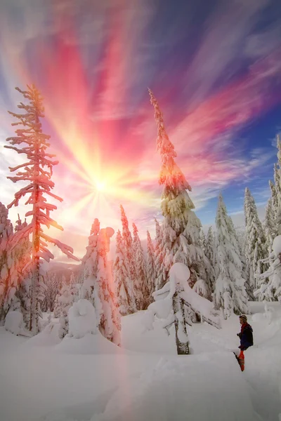 Man in winter bos bij zonsopgang — Stockfoto