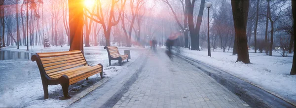 Niebla en Mariinsky Park —  Fotos de Stock