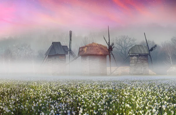 Windmühlen aus Holz in Pirohovo — Stockfoto