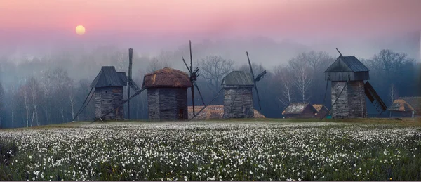 Дерев'яні вітряки в музеї — стокове фото