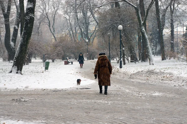 Mensen lopen in besneeuwde park — Stockfoto