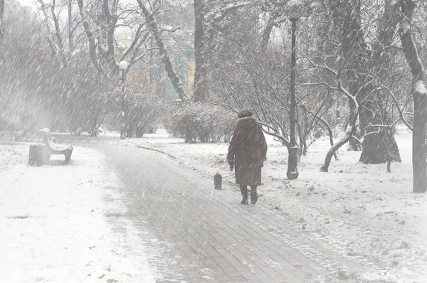 Nieve En la capital ucraniana —  Fotos de Stock