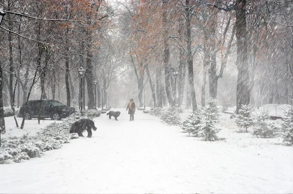 Menschen gehen im verschneiten Park spazieren — Stockfoto
